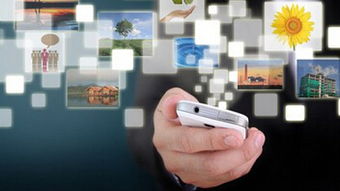 延吉市鵬大軟件科技 深耕網(wǎng)絡(luò)與信息安全軟件開發(fā)的專業(yè)力量