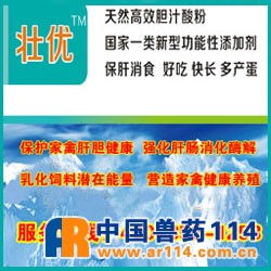 山東龍昌龍昌膽汁酸粉 產(chǎn)蛋雞根源性保健與策略性預(yù)防的綜合解決方案